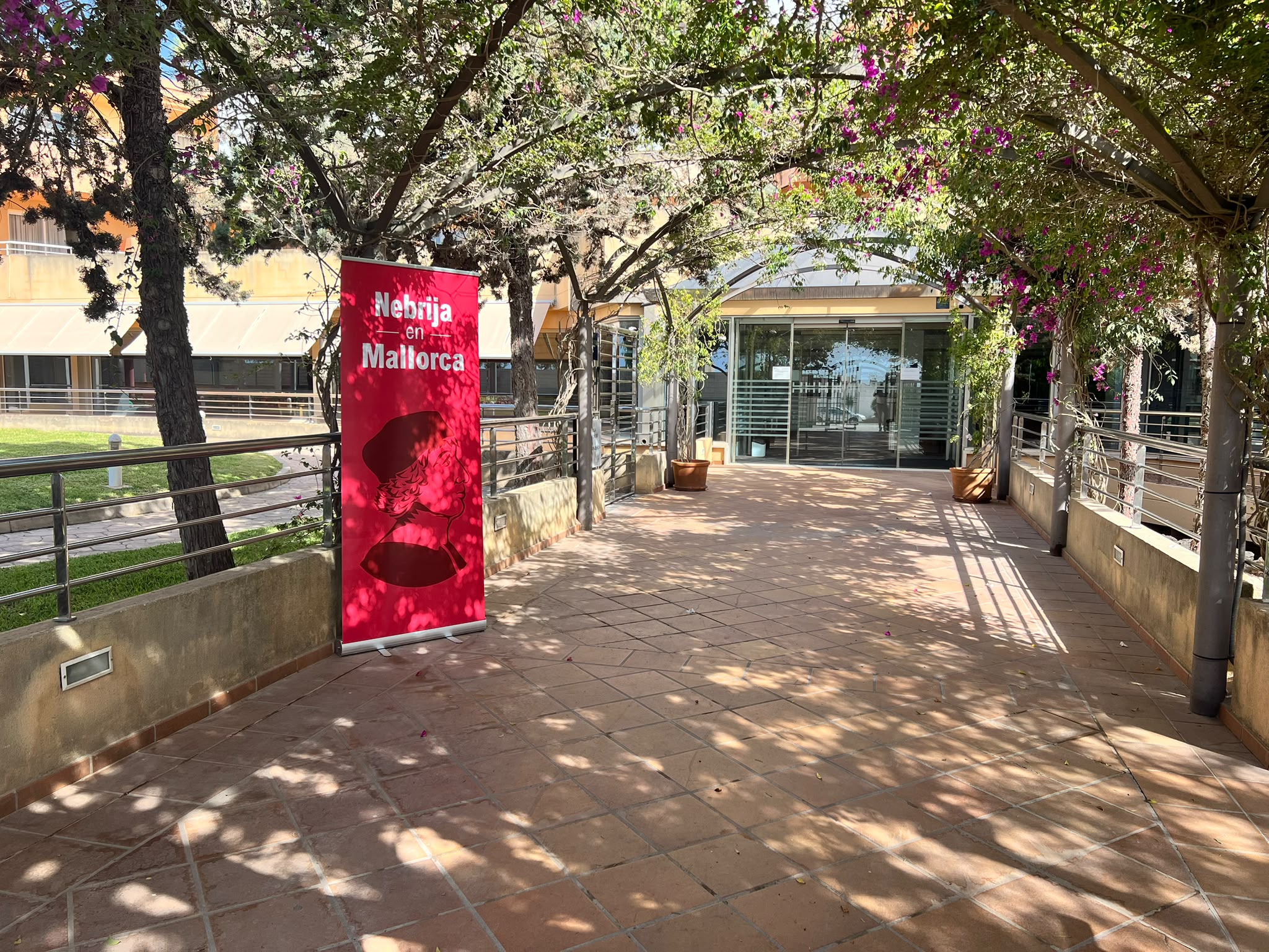 22 de Julio, próxima sesión informativa online para conocer todo sobre el Grado en Enfermería de Nebrija Mallorca
